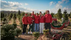 Cut your own tree and explore a gift shop at Clark's Christmas Tree Farm