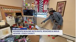 'I can't take this anymore.' Newark tenants say rats and mold make apartments unlivable