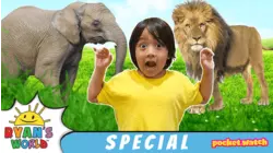 Ryan's Wildlife Wonders!