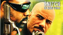 Snitch in New York