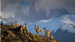 Mountains