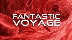 Fantastic Voyage