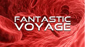 Fantastic Voyage