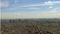 Saving Tokyo