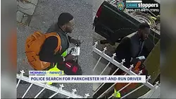 Bronx driver on the run after striking bicyclist, police car during traffic stop