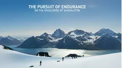 The Pursuit of Endurance: On the Shoulders of Shackleton