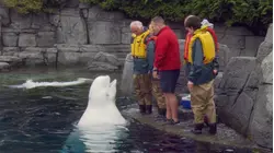 British Columbia: Vancouver and Beyond