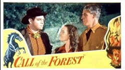 Call Of The Forest