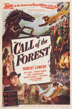 Call Of The Forest