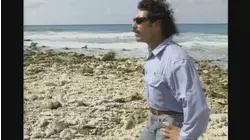 Spanish Fly E2 "Net Bait & Dolphin" (1995)