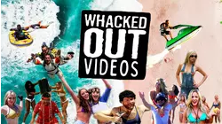Season 3, Whacked Out Videos 313