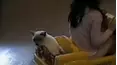 Funniest Pets & People