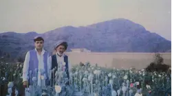 Heroin's Godfather