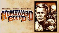 Homeward Bound
