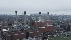 Steam