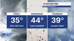 BITTER BLAST: Bone-chilling cold temps for Brooklyn; rain, snow incoming later this week