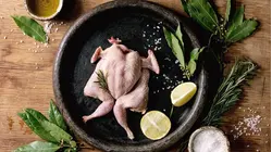 Northern Ireland Starter