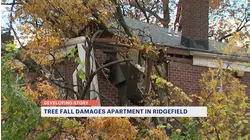 Ridgefield teen escapes injury after tree crashes onto home during windstorm