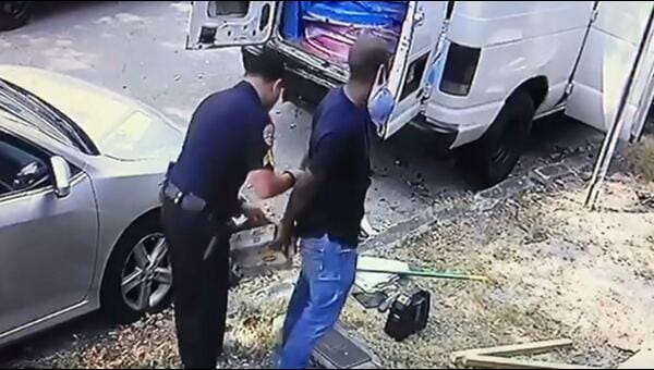 doctor x sun news live