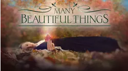 Many Beautiful Things