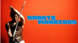 Karate Warriors