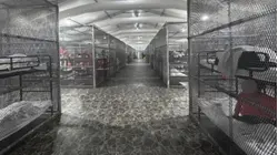 'Alligator Alcatraz' detainees were confined to small metal enclosures: IG report