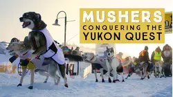 Mushers: Episode 3 - The Vet Check