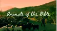 Animals of the Bible