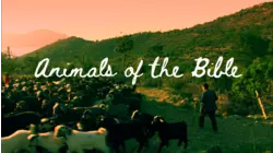 Animals of the Bible
