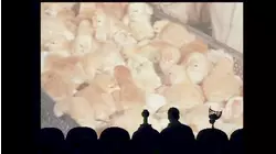 MST3K Shorts: The Chicken of Tomorrow