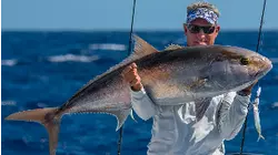 Bottom Fishing After Irma