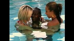 Flav's Trippin