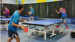 Professional ping pong lands in Westchester for weekend matches
