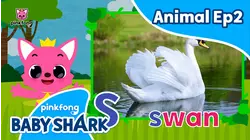 Learn ABC with Pinkfong Animal Ep2
