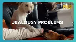 Dr. Phur | Jealousy Problems