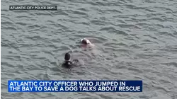 Atlantic City officer shares story after heroic rescue of injured dog