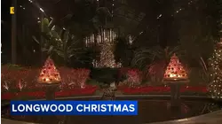 A Longwood Christmas dazzles in Kennett Square, Pennsylvania