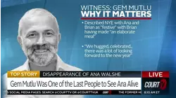 How Will Key Witnesses Affect Commonwealth's Case Against Brian Walshe?