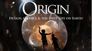 Origin