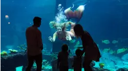 Big Resort, Big Heart