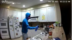 Suspected poisoning caught on camera