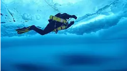 Deep Sea