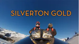 Silverton Gold