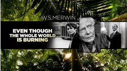 Even Though the Whole World is Burning