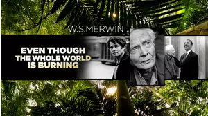 Even Though the Whole World is Burning