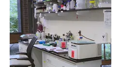 Proposed NIH overhaul sparks warnings about risks to medical research and public health