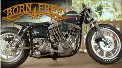 Born Free 4
