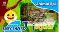 Learn ABC with Baby Shark