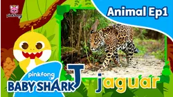 Learn ABC with Baby Shark Animal Ep1