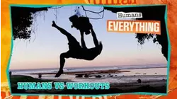 Humans VS. Everything | Humans vs Workouts